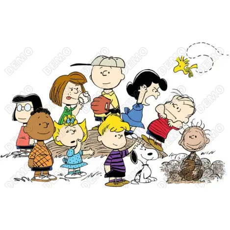 Peanuts Charlie Brown Gang   DTF Iron on Transfer N9