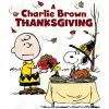 Peanuts, Snoopy, Charlie Brown Thanksgiving  T Shirt Iron on Transfer Decal #59 Peanuts, Snoopy, Charlie Brown Thanksgiving  T Shirt Iron on Transfer Decal #59