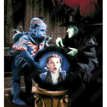 The Wizard of Oz Witch Flying Monkey Dorothy Crystal Ball DTF  Shirt Iron on Transfer 