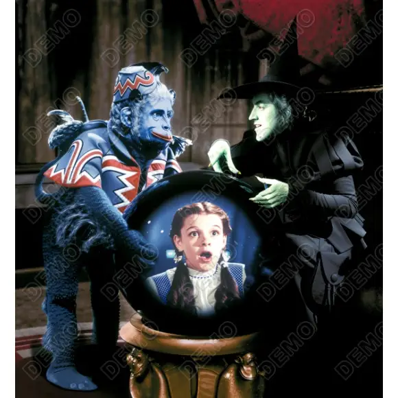 The Wizard of Oz Witch Flying Monkey Dorothy Crystal Ball DTF  Shirt Iron on Transfer