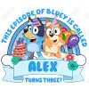 BLUEY Birthday Custom DTF Iron on Transfer