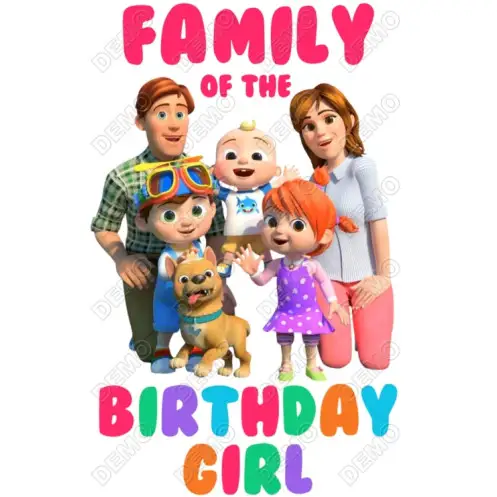 Cocomelon Family Birthday  Custom  DTF  Iron on Transfer