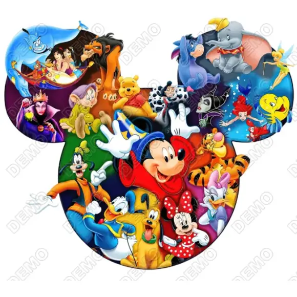 Disney Vacation Mickey DTF  Iron on Transfer