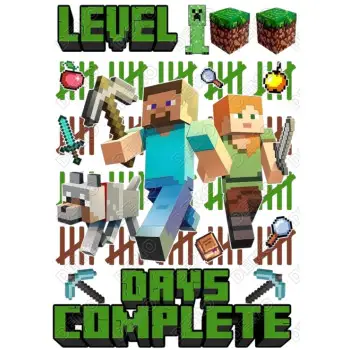 Minecraft 100 days of School  DTF Shirt Iron on Transfer 