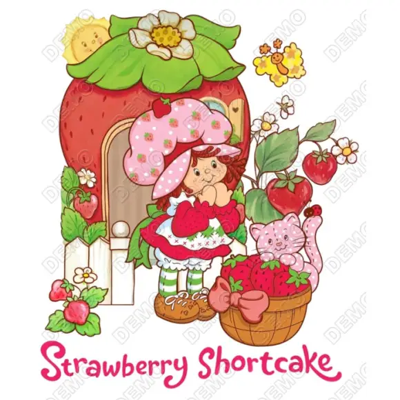 Vintage Strawberry Shortcake  DTF  Iron on Transfer N1