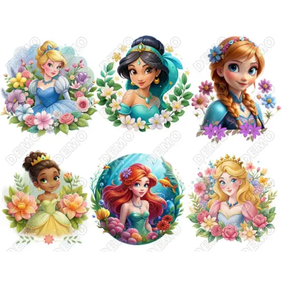 Disney Princess  DTF  Iron on Transfer