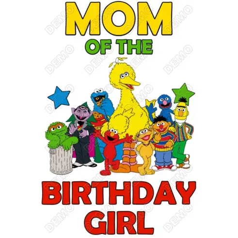 Sesame Street Family Member  Birthday Custom DTF  Iron on Transfer