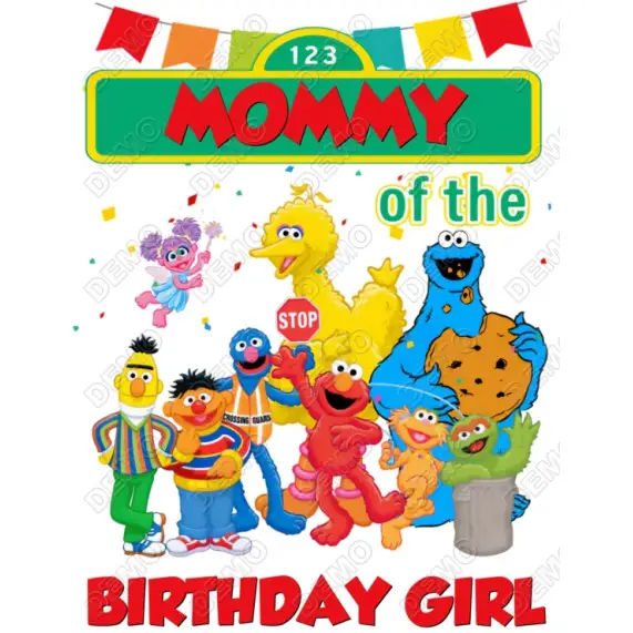 Sesame Street Family Member   Custom DTF  Iron on Transfer