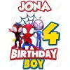 Spidey and His Amazing Friends  Birthday  Name/Age  DTF  Iron on Transfer