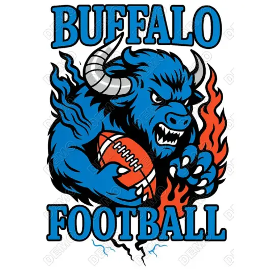 Buffalo Football DTF  Iron on Transfer N2