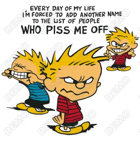 Calvin and Hobbes DTF Shirt Iron On Transfer