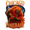 Chicago Bears  Football  DTF Iron on Transfer 