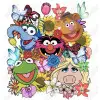 Muppets DTF Iron on Transfer  N8