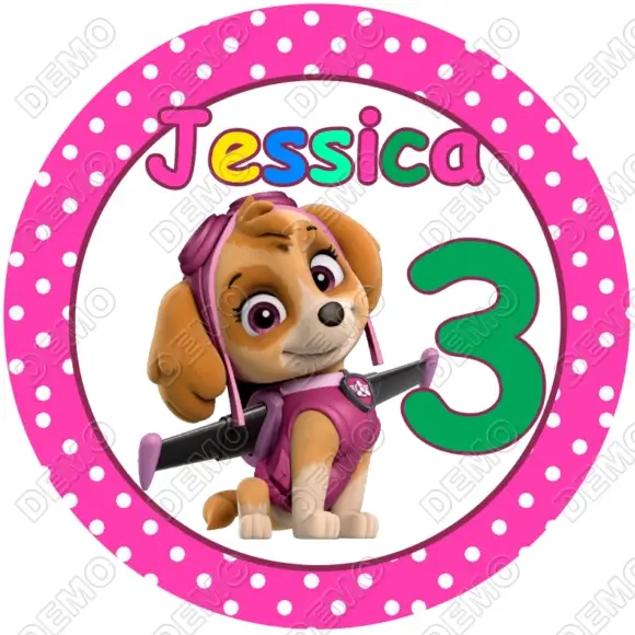 Paw Patrol Skye  Personalized  DTF  Shirt Iron on Transfer