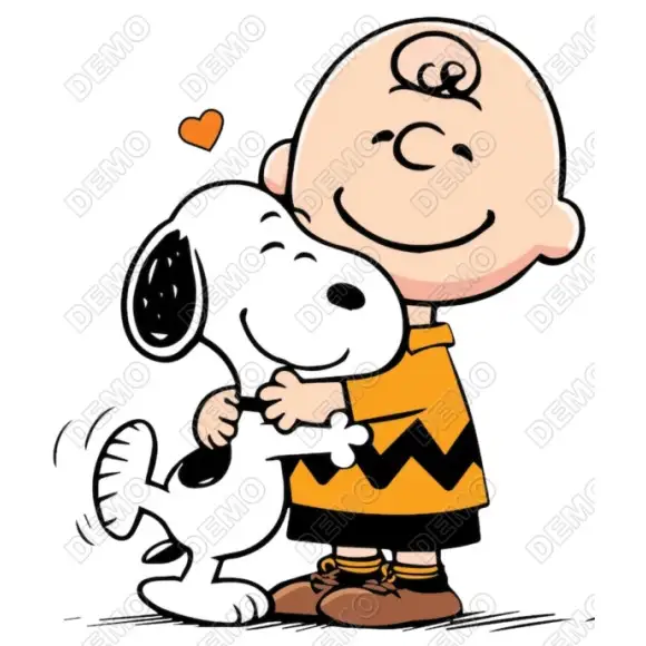 Peanuts Charlie Brown  DTF Iron on Transfer N4