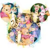 Pooh Disney Trip  DTF Transfer 