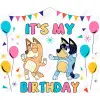 Bluey  It's My Birthday DTF  Shirt Iron on Transfer 