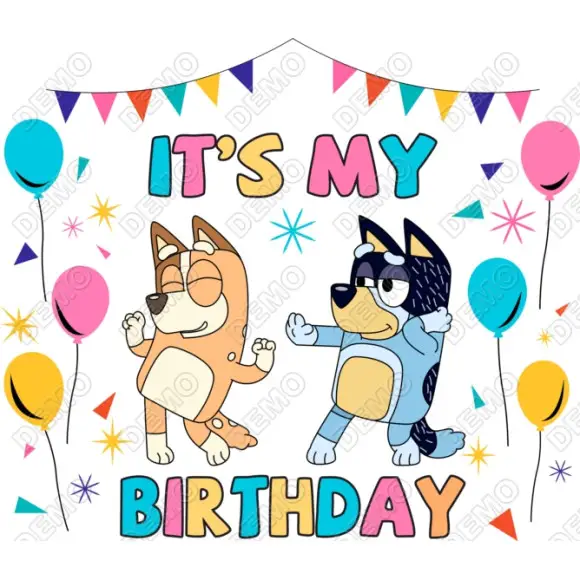 Bluey  It's My Birthday DTF  Shirt Iron on Transfer