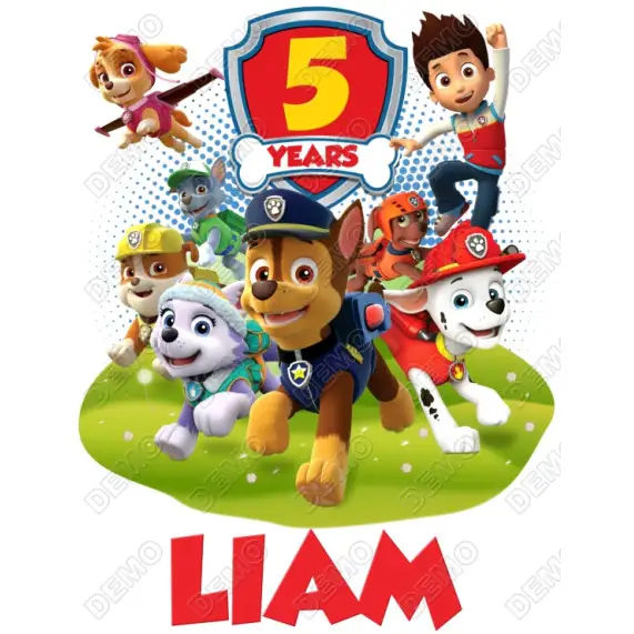 Paw Patrol   Birthday  Personalized  DTF Shirt Iron on Transfer