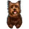 Wizard Of Oz Toto Dog  DTF Shirt Iron on Transfer