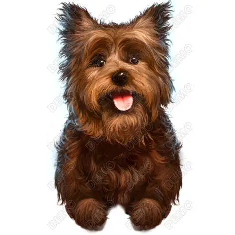 Wizard Of Oz Toto Dog  DTF Shirt Iron on Transfer