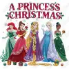  A Princess Christmas  DTF Shirt Iron on Transfer