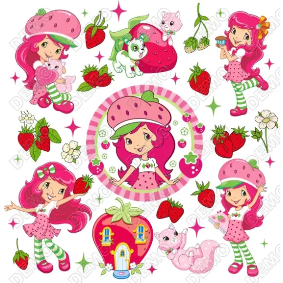 Strawberry Shortcake  DTF Iron on Transfer N67