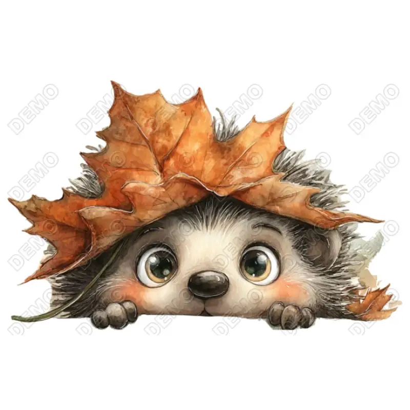 Whimsical  Cute Hedgehog   DTF Iron on Transfer