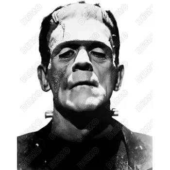 Boris Karloff as Frankenstein's Monster DTF Shirt Iron on Transfer