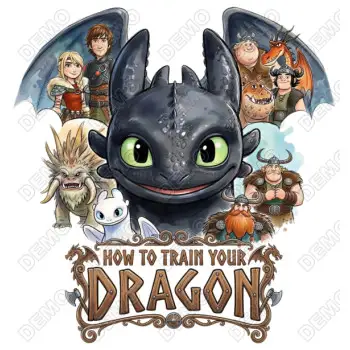 How to Train  Your  Dragon  DTF  Shirt Iron on Transfer N7