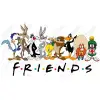 Friends  Looney Tunes characters DTF  Shirt Iron on Transfer