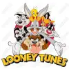 Looney Tunes  DTF Iron on Transfer  N88