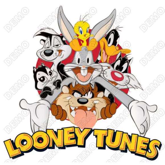 Looney Tunes  DTF Iron on Transfer  N88