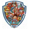 Paw Patrol  DTF  Shirt Iron on Transfer  N78