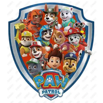 Paw Patrol  DTF  Shirt Iron on Transfer  N78