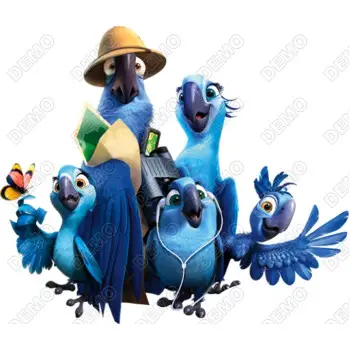 RIO DTF Iron on Transfer