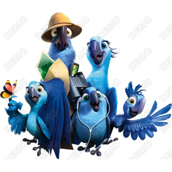 RIO DTF Iron on Transfer