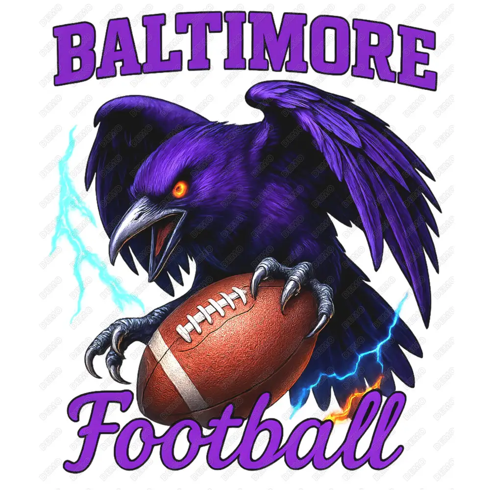 Baltimore football  DTF Iron on Transfer N1