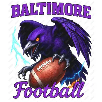 Baltimore football  DTF Iron on Transfer N1