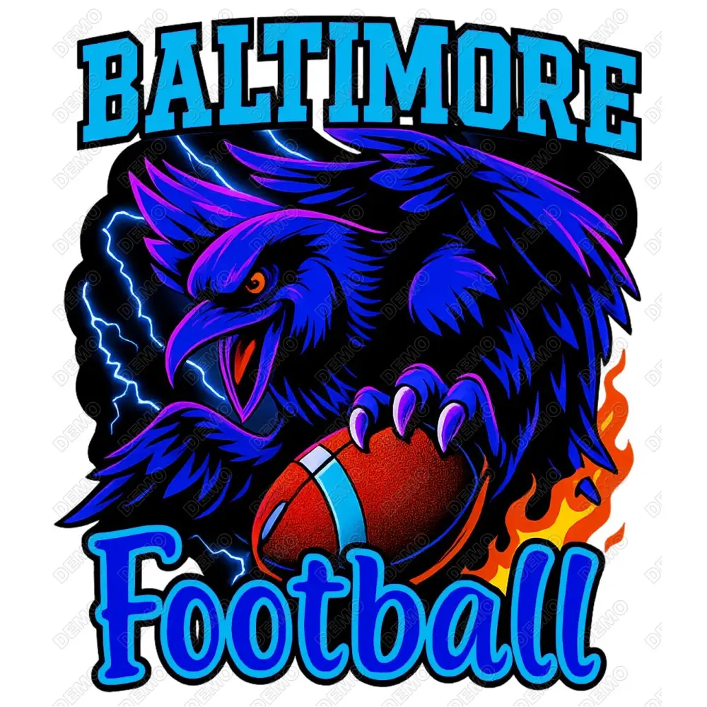 Baltimore football  DTF Iron on Transfer N3