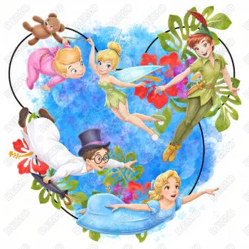 Peter Pan Tinker Bell DTF  Shirt Iron on Transfer