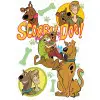 Scooby - Doo  DTF  Shirt Iron on Transfer N34