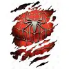 Spider Man  DTF  Heat Iron on Transfer  N45