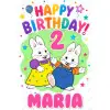 Max and Ruby   Birthday Personalized DTF  Shirt Iron on Transfer N8