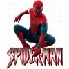 Spider - Man DTF  Shirt Iron on Transfer N97