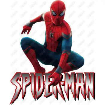 Spider - Man DTF  Shirt Iron on Transfer N97