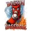 Boston Baseball  DTF Iron on Transfer 