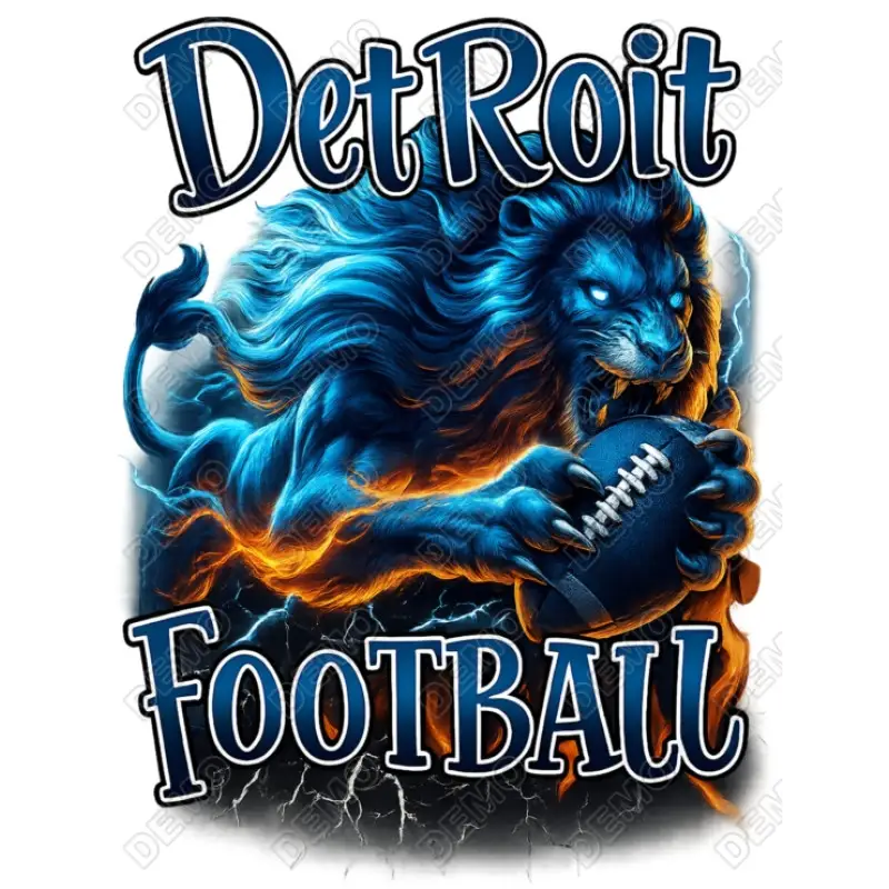 Detroit Lions Football  DTF Iron on Transfer N2