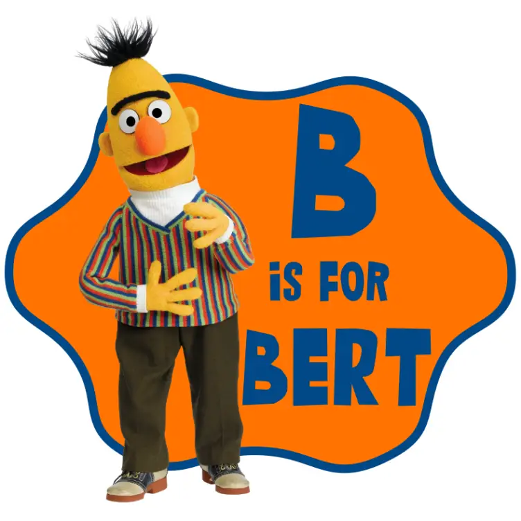 Bert Sesame Street T Shirt Iron on Transfer Decal Bert Sesame Street T Shirt Iron on Transfer Decal