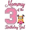 Despicable Me  Birthday Family Member  Personalized Custom T Shirt Iron on Transfer Decal